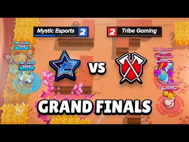 INSANE 8000$ PRO MATCH!! (Tribe VS Mystic)