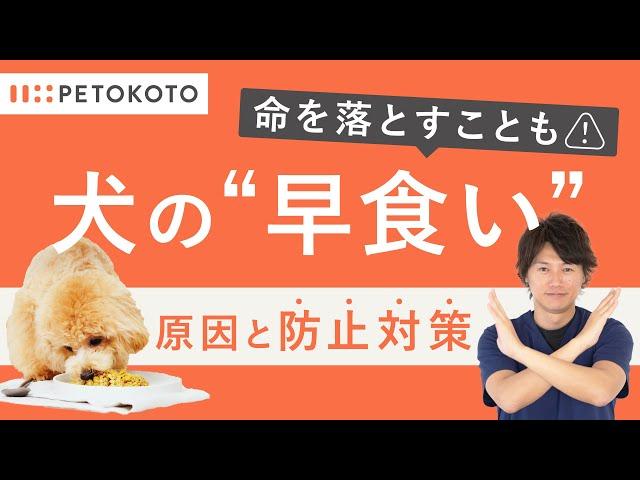 【犬が早食い】する原因や3つの早食い防止対策を獣医師が解説！（犬の手作りごはん/フレッシュドッグフード/ペトコトフーズ）