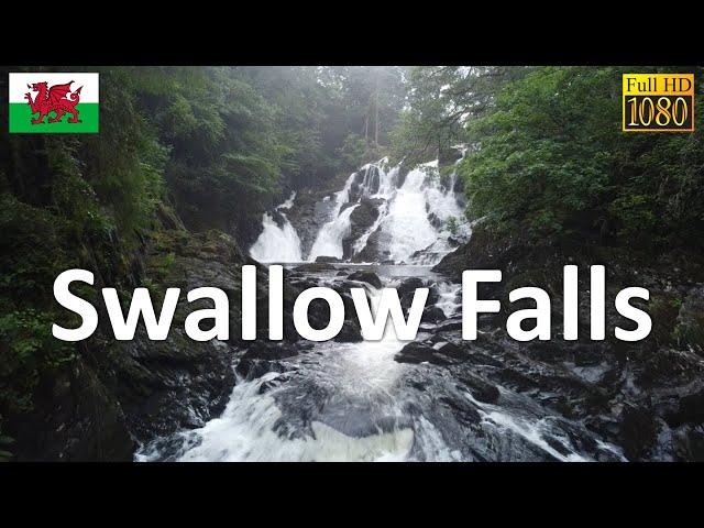 Swallow Falls | Conwy | Wales | UK