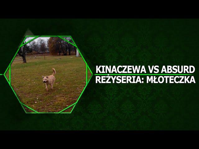 Kinaczewa VS Absurd