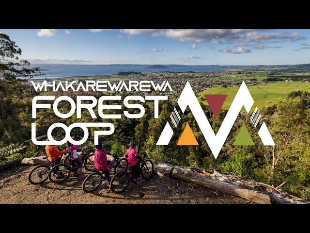 Whakarewarewa Forest Loop Mountain Bike Ride In Rotorua