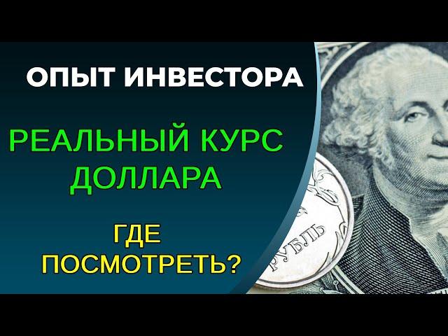 Курс доллара, как посмотреть реальный? Он-лайн курс доллара после санкций