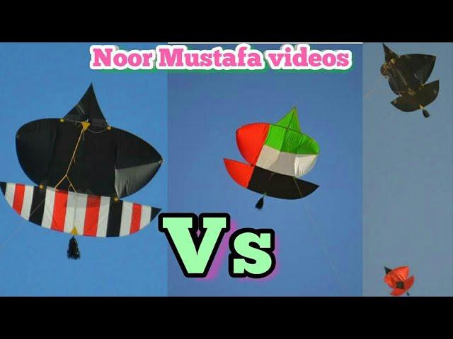 Beautiful patang paich in UAE ...subscribe my channel for more video #NoorMustafa