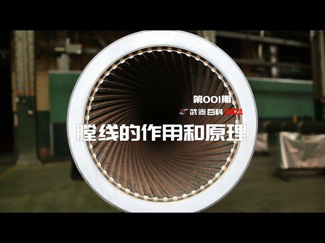 武器百科2021 第一集-膛线的原理是什么？Principle of Rifling