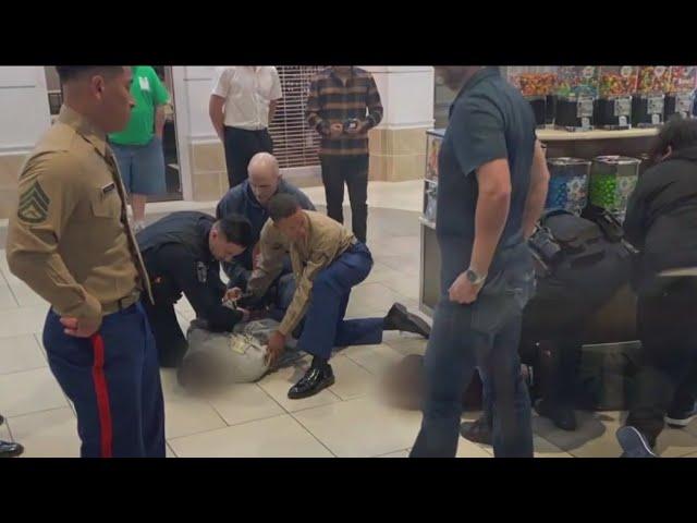 Marine recruiters take down smash-and-grab suspects