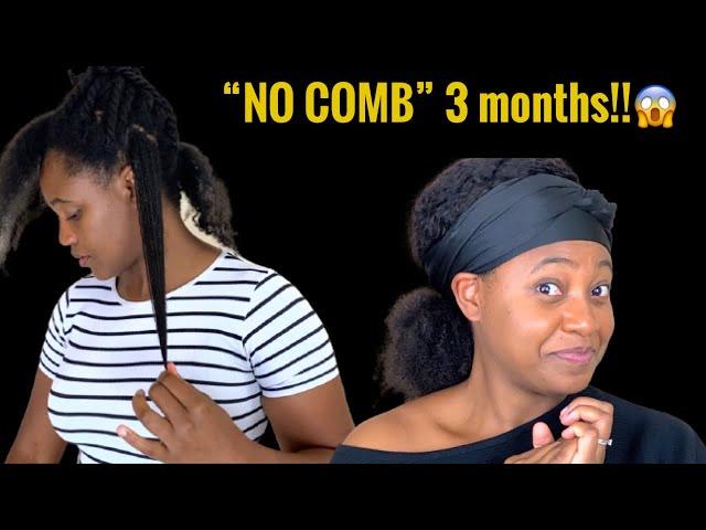 3 Month FINGER DETANGLING/ “NO COMB”challenge | RESULTS & length check #protectivestylechallenge