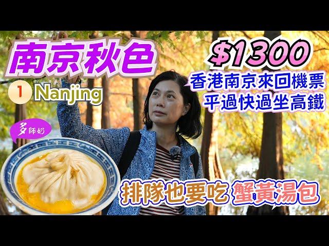 【南京旅遊】香港直飛2.5小時即到酒店+美食+景點攻略南京秋色原來好鬼靚️明孝陵.梧桐大道.夫子廟步行街