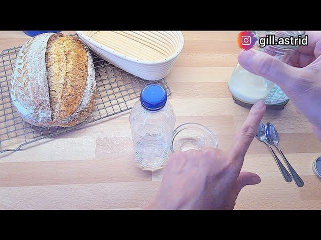 CARA MEMBUAT STATER SOURDOUGH YANG PALING JUJUR DAN REALISTIK HANYA DENGAN TERIGU PRO TINGGI DAN AIR