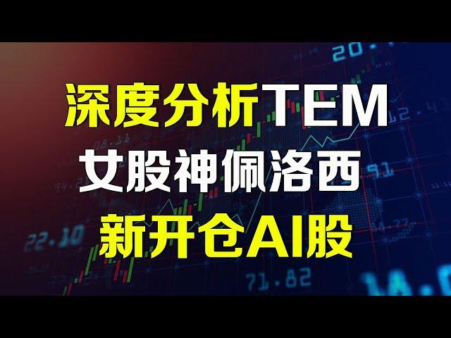 美股深度分析 女股神佩洛西新开仓一只AI股 TEM