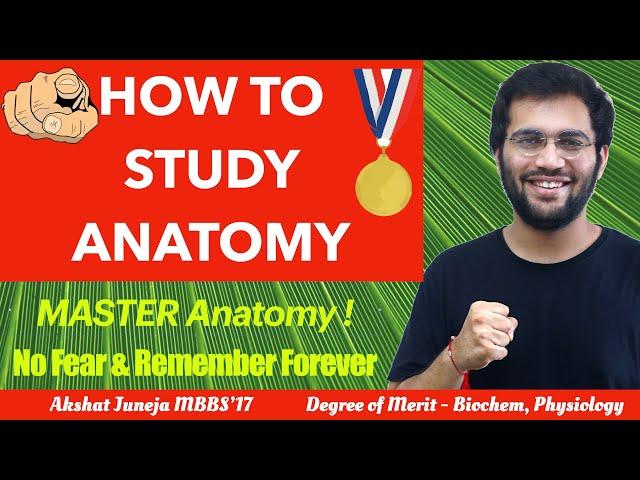 How to Study Anatomy Effectively In MBBS 1st Year | Medical School