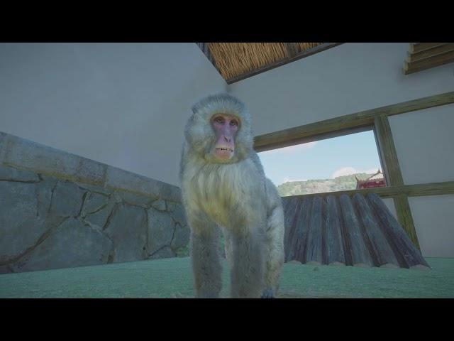 Planet Zoo: Japanese Macaque