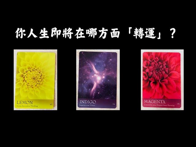CC字幕｜占卜你人生將在哪方面「轉運」？（請接住）