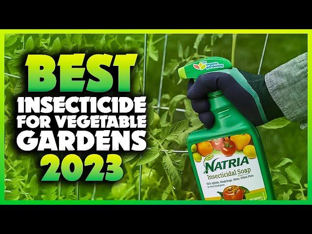 Top 5 Best Insecticide For Vegetable Gardens You can Buy Right Now [2023]