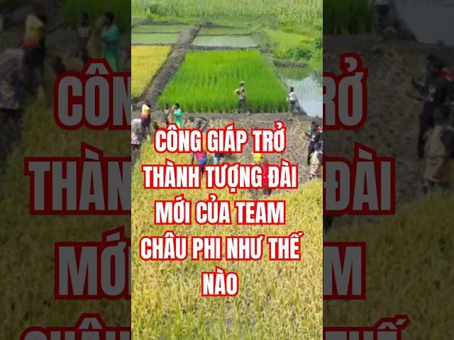 CÔNG GIÁP TRỞ THÀNH BIỂU TƯỢNG MỚI CỦA TEAM CHÂU PHI- LÀM LU MỜ CÁC BẬC TIỀN BỐI