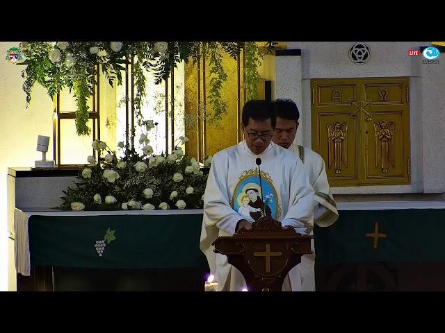 Misa Harian Selasa, 25 Juni 2024 pk. 05.30 WIB - Novena Santo Antonius hari ke 2