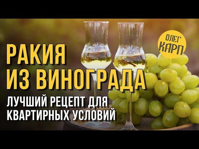 РАКИЯ из ВИНОГРАДА.  Лучший рецепт для квартирных условий. // Олег Карп