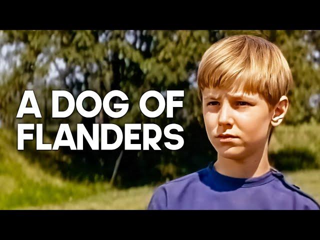 A Dog of Flanders | Emotional Family Film