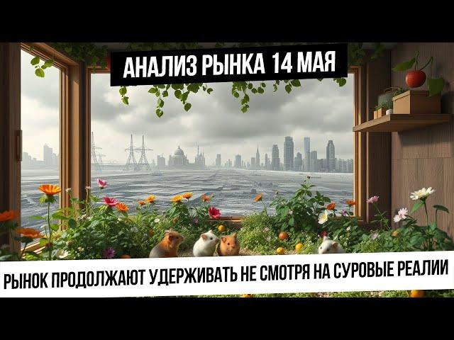 Анализ рынка 14 мая. Угрозы санкциями и ультиматум, но российский инвестор игнорирует реалии.