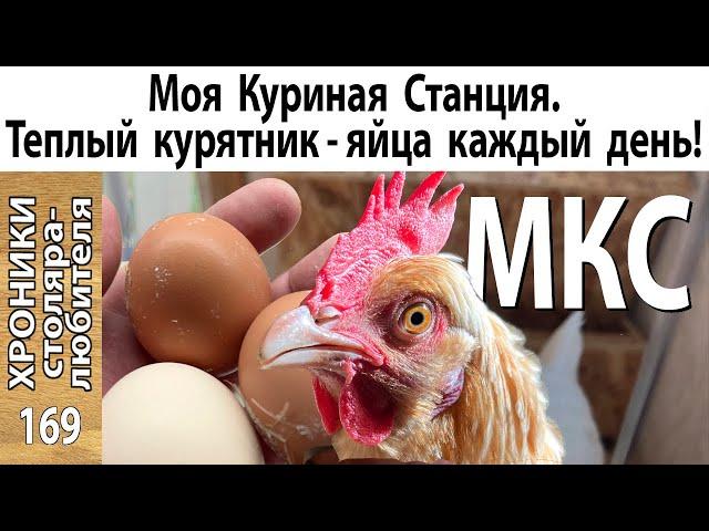 Теплый курятник с выгулом: от и до своими руками.