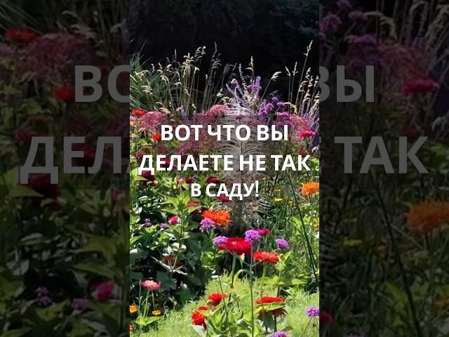 Критическая ошибка в садоводстве, которую вы совершаете #садоводство #цветы