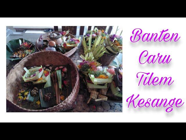 Tutorial Metanding Banten CARU TILEM KESANGA