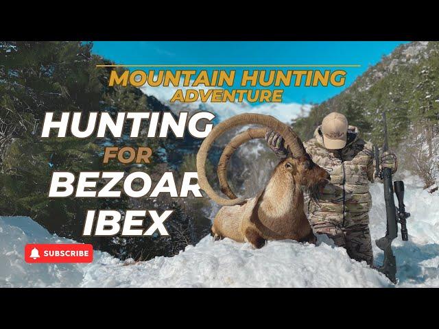 Mountain Hunting Adventure Episode Hunting for Bezoar Ibex