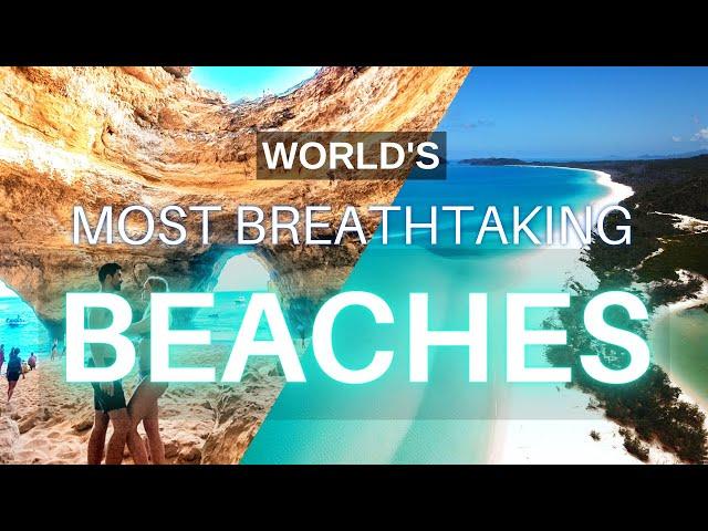 Imagine: The Most Beautiful Beach In The World, With Pigs All Around You!