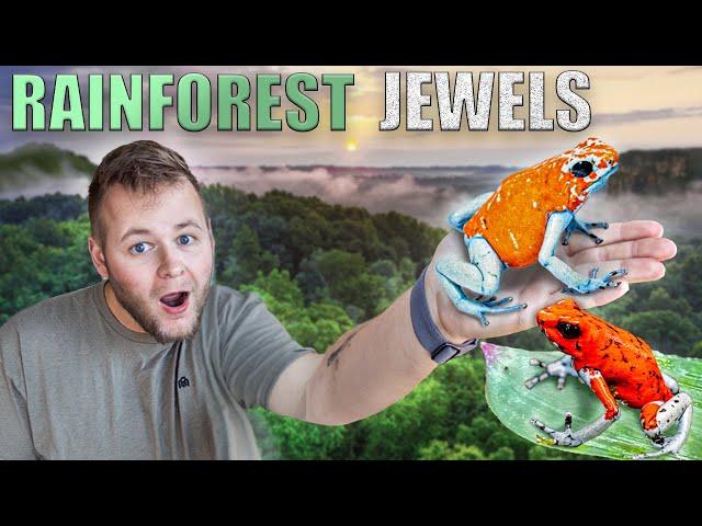 TOURING a POISON FROG conservation facility in the JUNGLES of Colombia! | Tesoros de Colombia