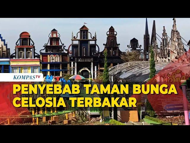 Terungkap Penyebab Taman Bunga Celosia Semarang Kebakaran, Manajemen: Kelalaian Karyawan