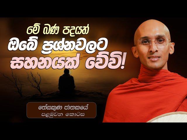 294. ප්‍රශ්න වලට සහනයක් වෙන බණක් | තේසකුණ ජාතකය | 2024-03-19