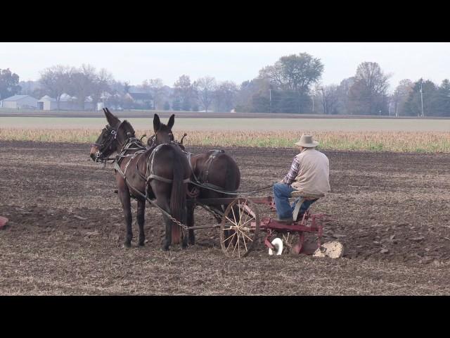 2016 Plow Day at Tom Renner's Farm