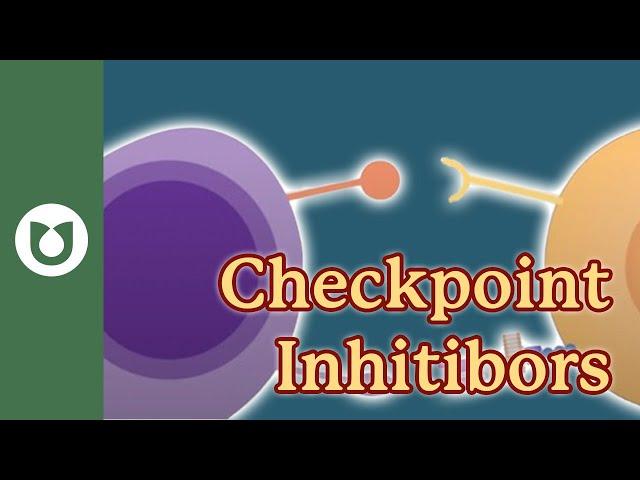 What are checkpoint inhibitors? #myeloma