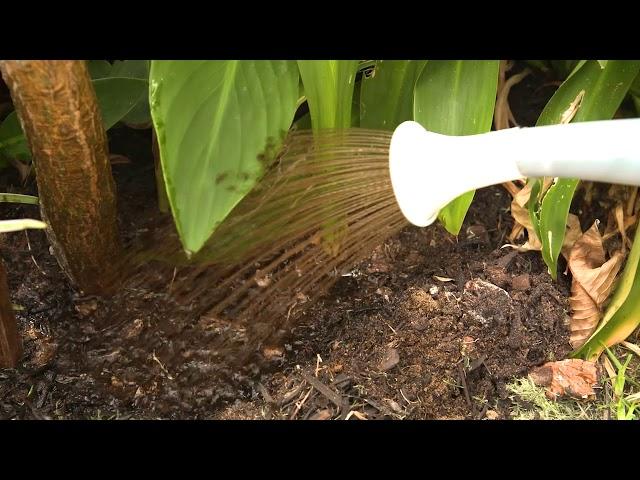 The Garden Gurus -  Seasol Liquid Compost