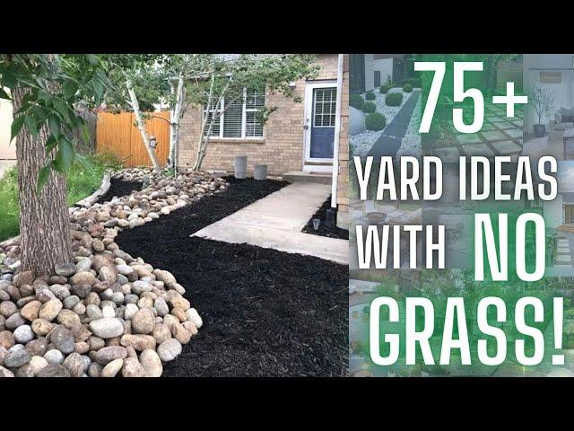 75+ No Grass Front Yard Design Ideas | Yard No Grass Landscape Ideas | Front Yard Idea No Grass