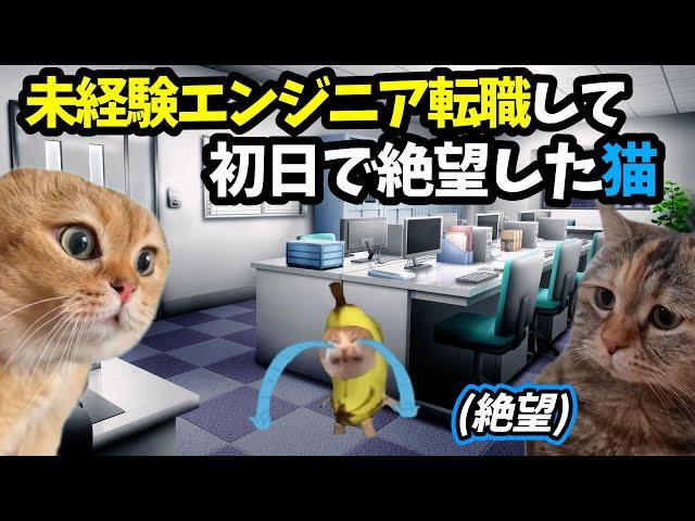 未経験からエンジニアに転職したら初日で絶望した #猫ミーム #meme猫 #memecat