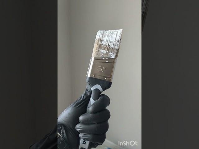 распаковка новой квартиры. обои+покраска=идеальный вариант отделки стен. #ремонт #обои #покраскастен