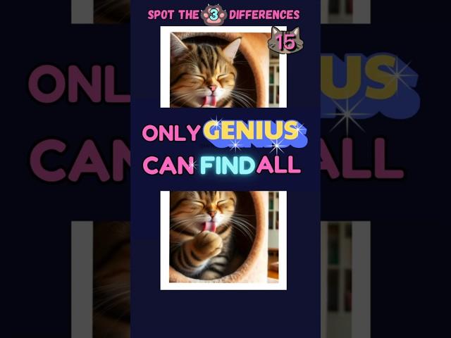 FIND THE 3 DIFFERENCES﻿ #2 | Only geniuses can find it !  #catquiz, #braingames, #braintest