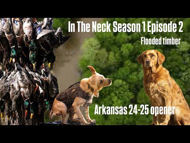 In The Neck season 1 Episode 2 - (Arkansas Season Opening Day 24-25)