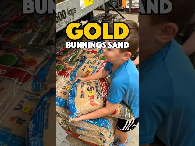 GOLD in Play Sand? #goldrush #australia #bunnings #playsand #familyadventures