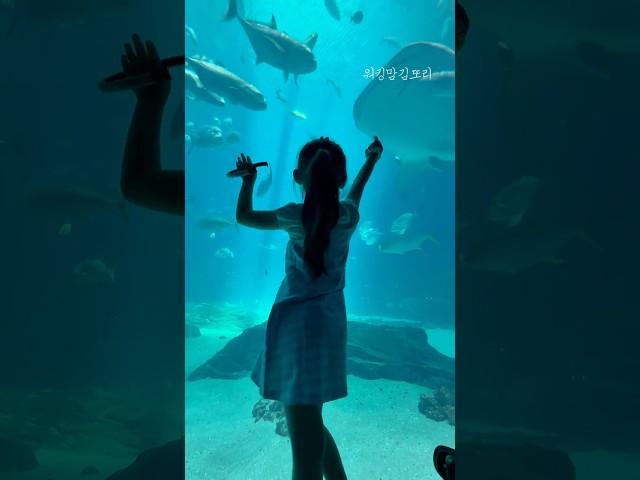 #미국여행#애틀란타#애틀란타여행#조지아아쿠아리움#워킹맘김또리
