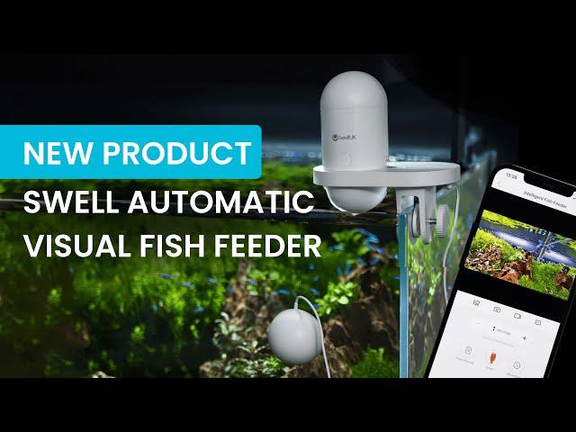 Swell Visual Fish Feeder: Automatic Feeder with HD Camera for Aquariums – Watch & Feed Anywhere!