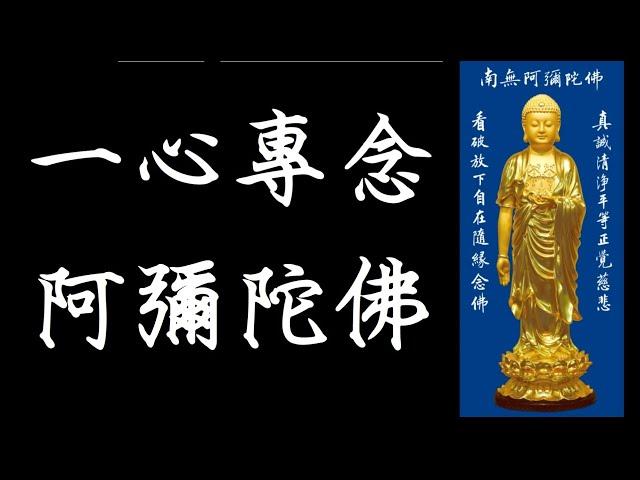 Amituofo 阿彌陀佛 12小時 四字五音 女聲  念佛成佛  Best Buddha Meditation Music 凡所有相 皆是虚妄 發菩提心 深信因果 一心專念