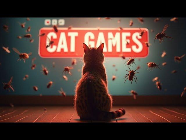 CAT Games | Relaxing Entertainment for Your Curious Cat | 3 Hour 