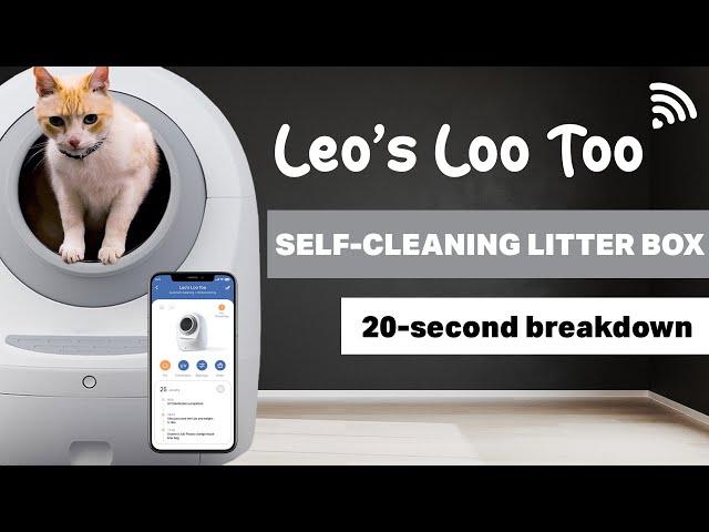 Leo's Loo Too: 20 second breakdown - By Casa Leo (previously Smarty Pear)
