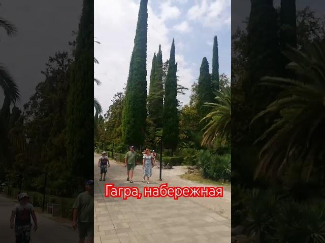 Гагра, набережная #гагра #абхазия #отдых #достопримечательностиабхазии #достопримечательности #парк