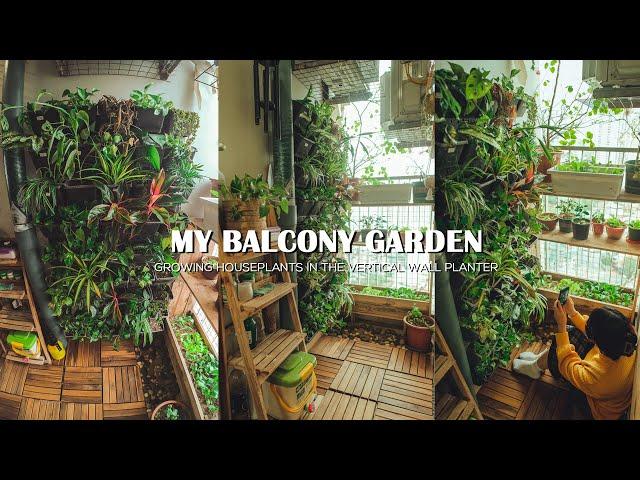 Growing Houseplants in the Vertical Wall Garden on the 4m2 Balcony | Balcony Garden Decoration Ideas