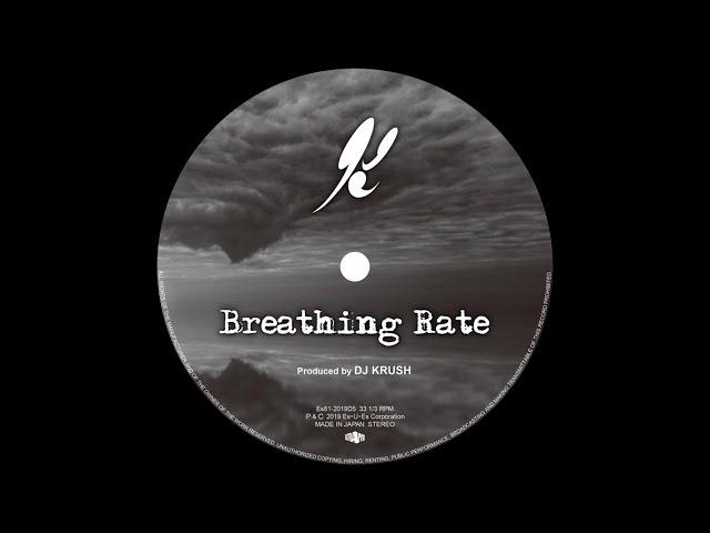 DJ Krush - Breathing Rate