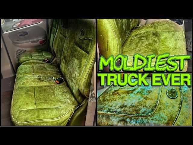 Deep Cleaning the MOLDIEST BIOHAZARD Truck EVER! | Satisfying DISASTER Car Detailing Transformation