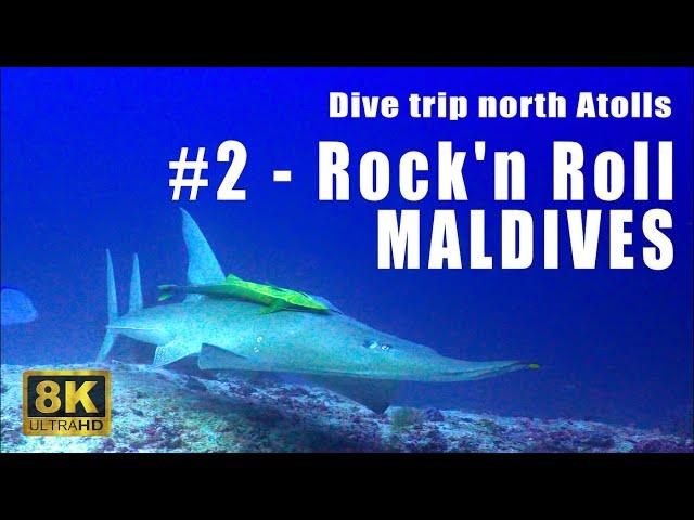 8k dive - Rock'n Roll Maldives - A Dive Trip in the Northern of the Maldivian Archipelago - Showreel