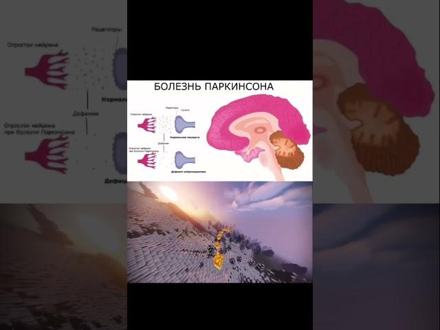 Допа Мукуна: Настроение, Энергия... и Либидо? #допамукуна #либидо #mucunapruriens #l-dopa